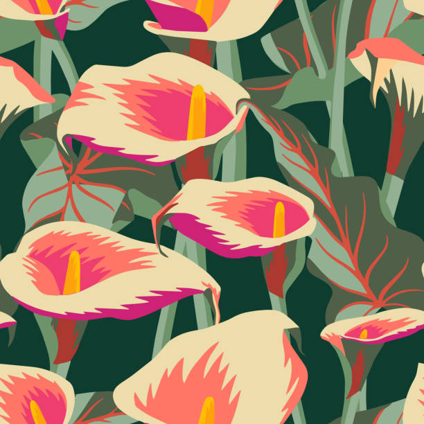 벡터 꽃 원활한 패턴 이국적인 칼라 꽃. 식물 일러스트레이션 - tropical blossom stock illustrations