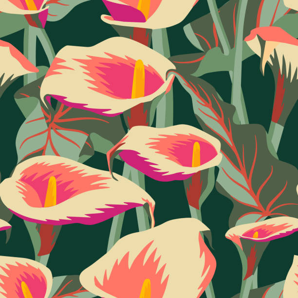 Vector floral seamless pattern with exotic calla flowers. Botanical illustration Vector floral seamless pattern with exotic calla flowers. Anthurium or flamingo flowers. Hawaiian, jungle plant pattern. Summer floral elements. Botanical illustration for textile, fabric and wrapping tropical blossom stock illustrations