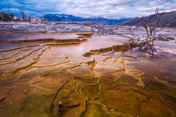 Mammoth Hot Spring Terraces, Yellowstone, Wyoming