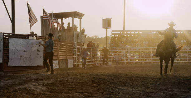 um cowboy em um cavalo cavalga através de um estádio cheio de pessoas em um evento de montaria/rodeio de touros como outro cowboy anexa uma cobertura a uma caneta de touro no pôr do sol - horseback riding cowboy riding recreational pursuit - fotografias e filmes do acervo
