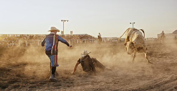 A BullRider Competing in a Bull Riding Event after Being Thrown from a Bull's Back while the Rodeo Clown Distracts the Bull in a Stadium Full of People at Sunset