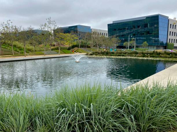 istock Landscaping and water feature office park 1221943828