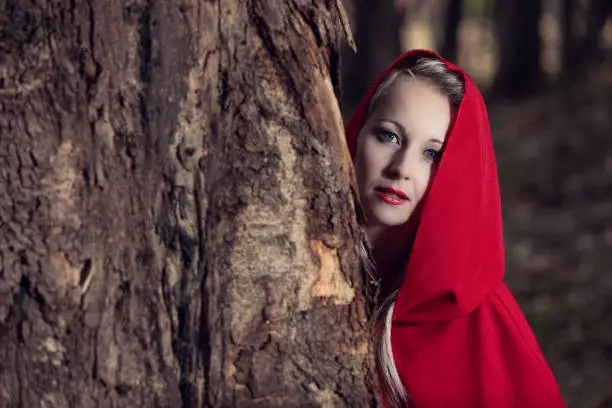 Attractive woman dressed a little red riding-hood hide behind a tree in a dark forest