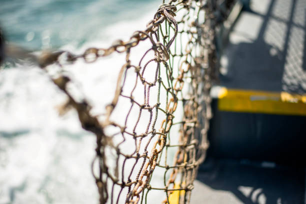 Net for protect side of the boat.