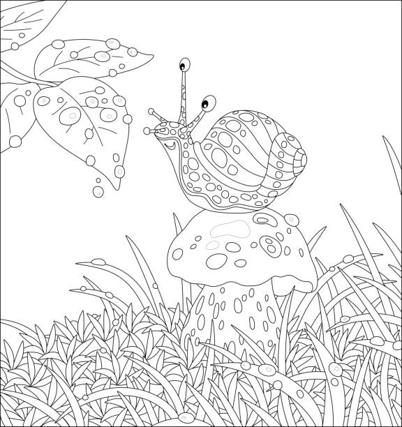 Funny garden snail playing with rain drops Small mollusk with a beautiful striped and spotted shell, sitting on a big mushroom among grass on a forest glade, friendly smiling and playing with rain drops, black and white vector cartoon illustration for a coloring book page easy black and white drawing stock illustrations