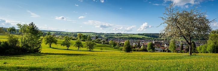 Steinheim am Albuch - Springtime