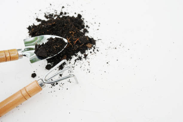 garden tools shovel and soil on white background, copy space