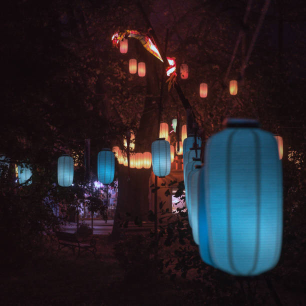 istock A Japanese Lights in Bavaria Park 1221953736