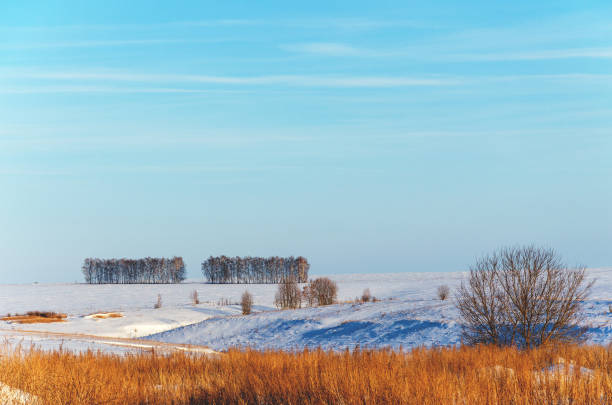 istock Sunny winter rural nature landscape with fields 1221953975