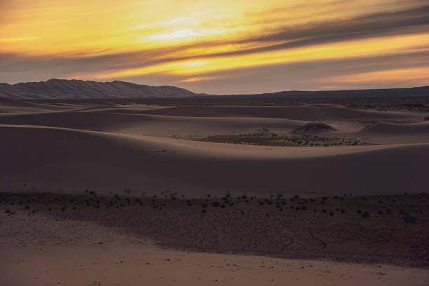 istock Global warming make arid landscape on the earth. 1221954945