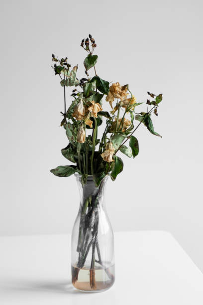 istock Bouquet of wilted flowers on a white background 1221956042