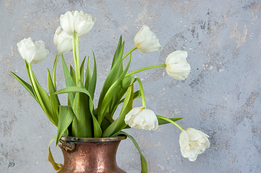 White tulips in old copper vase on concrete background. Copy space for text, holiday decorations