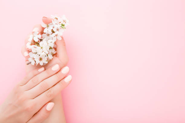 belle mani da donna curate con ramo bianco di fiori di ciliegio su sfondo tavolo rosa chiaro. colore pastello. primo piano. concetto di salone di bellezza manicure. posizione vuota per testo o logo. vista dall'alto verso il basso. - fingernail nail polish women human hand foto e immagini stock