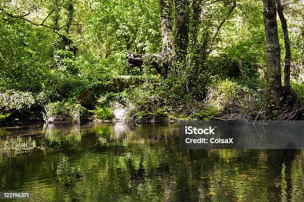 Photo libre de droit de Petite Rivière En Bois banque d'images et plus d'images libres de droit de Arbre - Arbre, Automne, Beauté de la nature