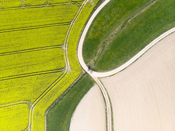 istock Aerial View Of Agricultural Fields 1221964467