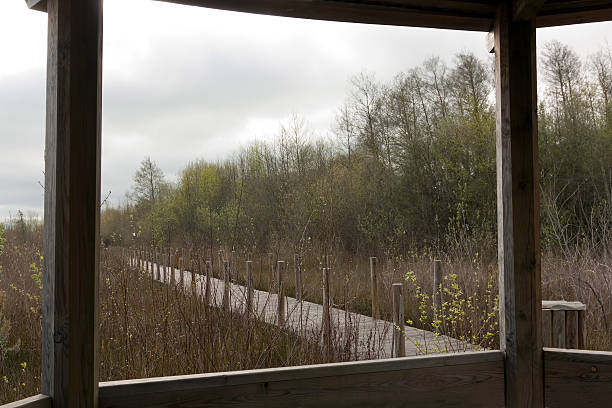 istock Landscape view from a wood window 122196522