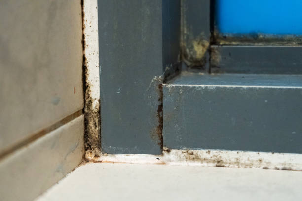 istock Old plastic window frame in the shower. Moldy angle, fungus. Problem areas shower. 1221969569