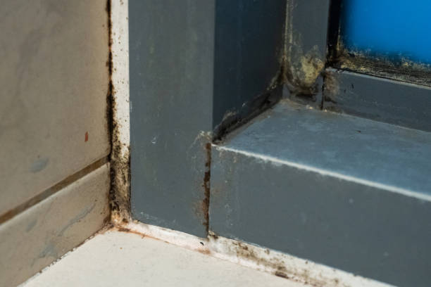 istock Old plastic window frame in the shower. Moldy angle, fungus. Problem areas shower. 1221970400