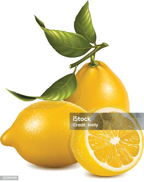 新鮮なレモンとします - かんきつ類のベクターアート素材や画像を多数ご用意 - かんきつ類, みずみずしい, アスコルビン酸
