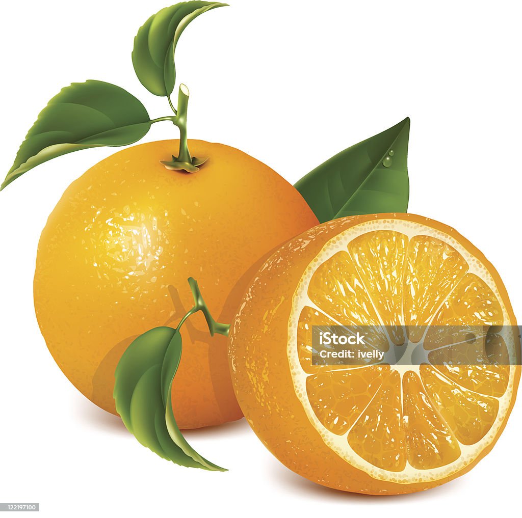 Vektor-frische Reife Orangen mit blättern. - Lizenzfrei Fotorealismus Vektorgrafik