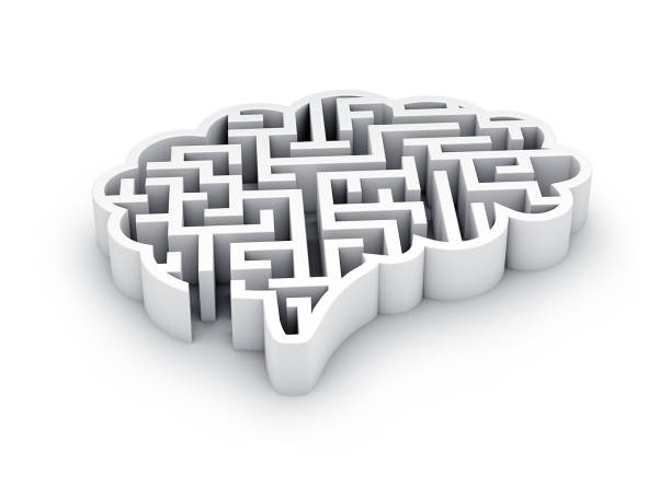 istock Brain in shape of 3d maze or labyrinth. Concept of Brain. 3D Rendering, 1221971063