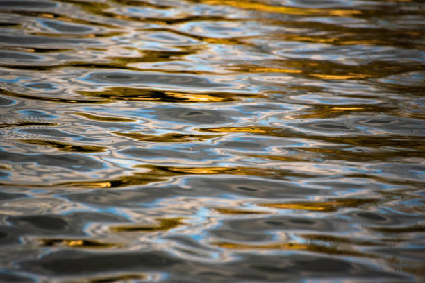 istock Varied wave texture of mountain river 1221972008