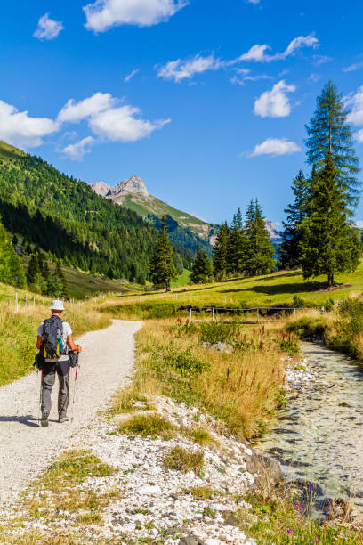 istock Italy - Hiker walking in Val Duron in the Dolomites 1221973407