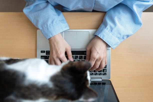 istock Overhead view of Asian woman with cat using a computer 1221973705