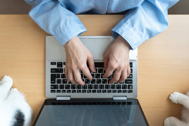 istock Overhead view of Asian woman with cat using a computer 1221973730