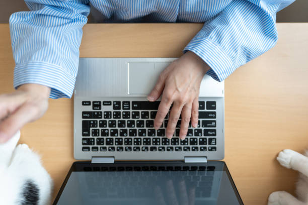 istock Overhead view of Asian woman with cat using a computer 1221973740
