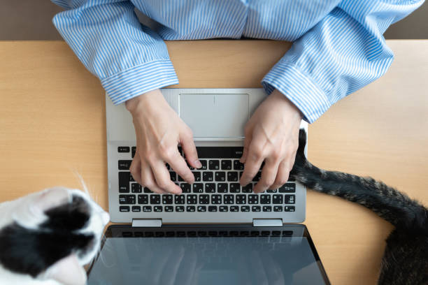 istock Overhead view of Asian woman with cat using a computer 1221973770