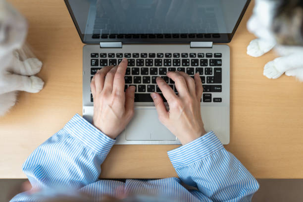 istock Overhead view of Asian woman with cat using a computer 1221973778