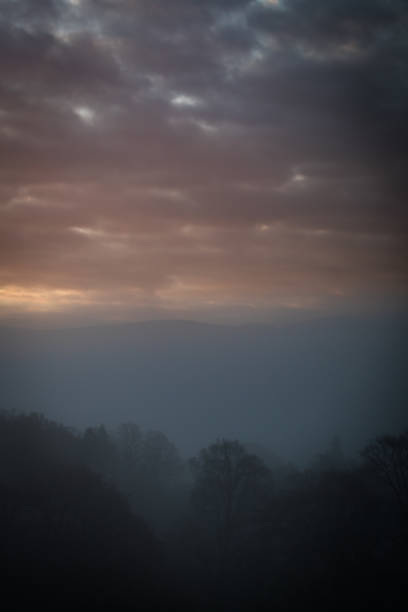 Cloudy Sun Rise over Forest stock photo