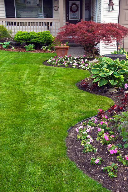 Manicured Spring Yard stock photo