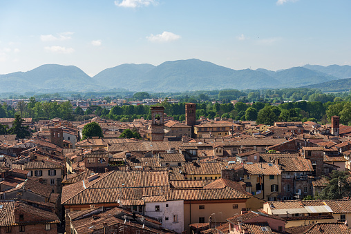 Aerial view of Lucca old town from the Guinigi Tower (Torre dei Guinigi). Tuscany, Italy, Europe