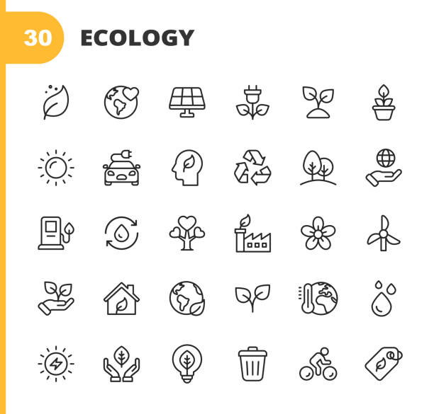 Ecology and Environment Line Icons. Editable Stroke. Pixel Perfect. For Mobile and Web. Contains such icons as Leaf, Ecology, Environment, Lightbulb, Forest, Green Energy, Agriculture, Water, Climate Change, Recycling, Electric Car, Solar Energy. 30 Ecology and Environment  Outline Icons. vector symbol planet earth stock illustrations