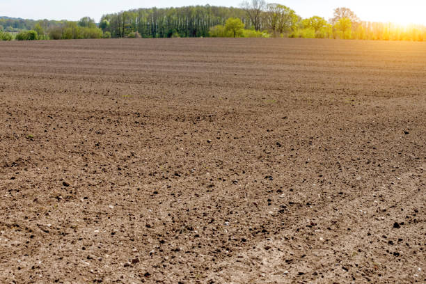 istock Black agriculture field in sunset 1221978827