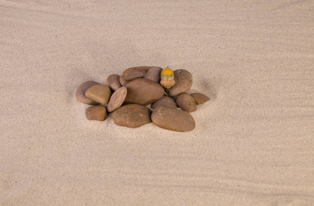 istock Heap of rocks on the sand. 1221980480