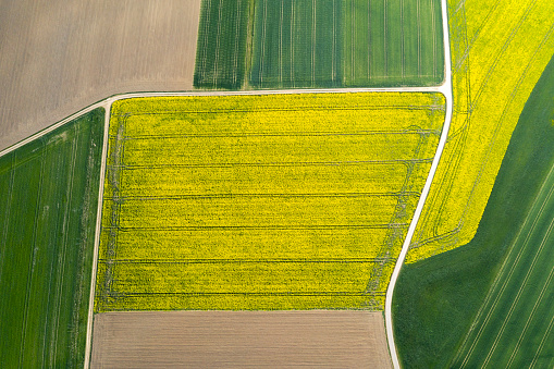 Abstract shapes of agricultural fields in springtime viewed directly from above.
