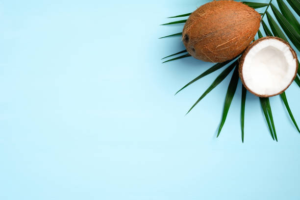 istock Summer background with tropical palm leaf and coconut fruit on blue background. Flat lay, top view, copy space. 1221982799