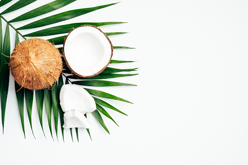 Coco con hoja de palma sobre fondo blanco. Plano, vista superior. Fondo veraniego con alimentos orgánicos naturales photo