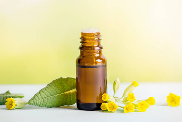 istock Primula veris (cowslip, common cowslip, cowslip primrose; syn. Primula officinalis Hill tincture oil in bottle with fresh leaf and blossoms on green background. Alternative medicine concept. 1221984139