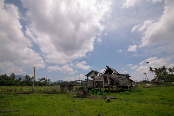 istock Dilapidated traditional wooden hut 1221986179