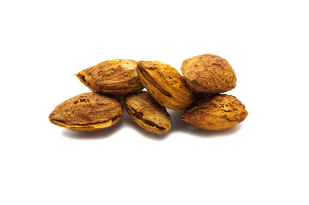 istock Almond nut isolated on white background. 1221986460