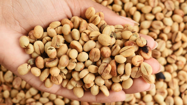 istock close up of green coffee beans 1221987138