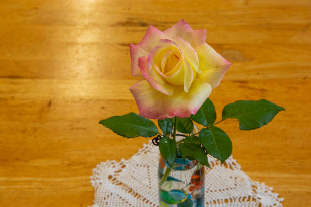 Several colourful roses as bouquet
