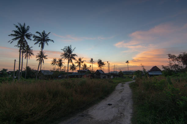 Kampung house at Malaysia with surrounded by coconut