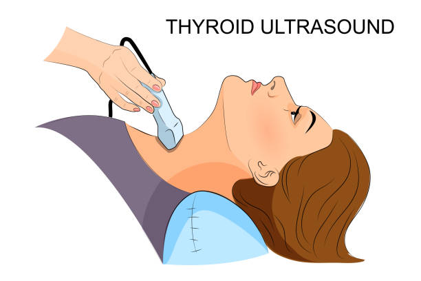 ультразвуковая диагностика заболеваний щитовидной железы - ultrasound cancer healthcare and medicine thyroid gland stock illustrations