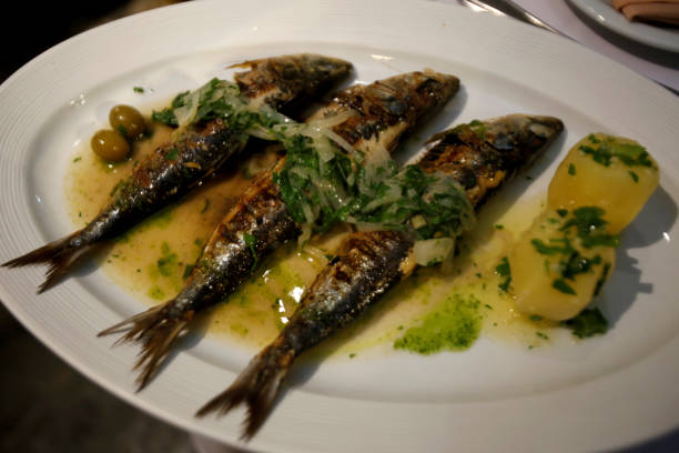 portuguese coast sardine