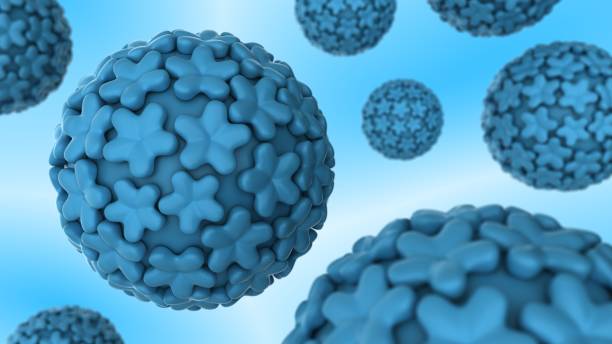 istock Human papillomavirus cells. HPV. Concept illustration. 3D-rendering. 1221991303